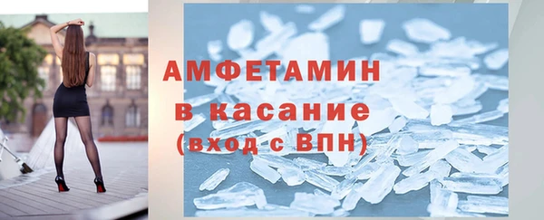 шишки Арсеньев