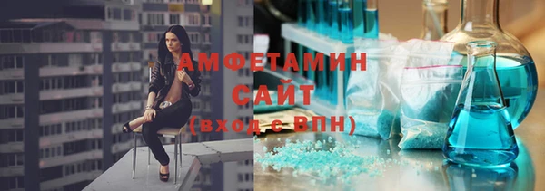 шишки Арсеньев