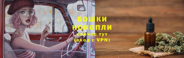 шишки Арсеньев