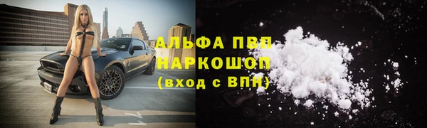 шишки Арсеньев