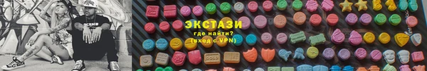 шишки Арсеньев