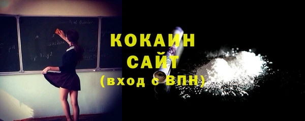шишки Арсеньев