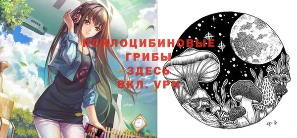 шишки Арсеньев