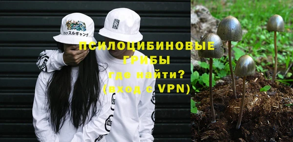 прущие крисы Аркадак