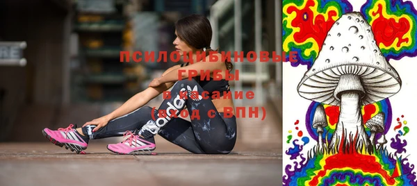 прущие крисы Аркадак