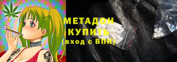 шишки Арсеньев